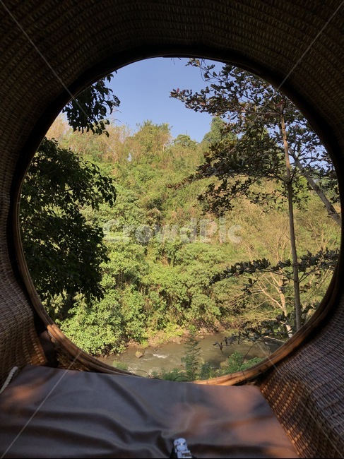 발리,자연,숲,나무,숲속,강가,계곡,window,창문