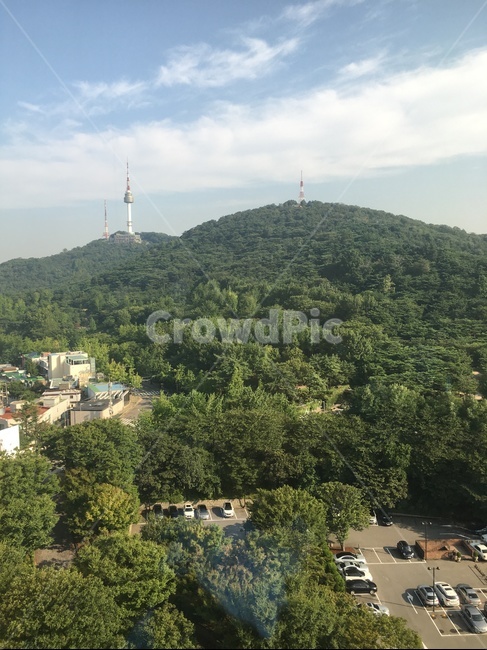서울,조감도,birdseyeview,숲,forest