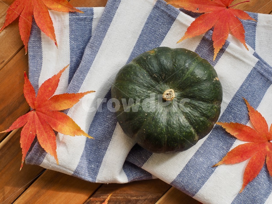 단호박,호박,단풍잎,잎사귀,가을,채소,유기농,음식,음식재료,웰빙,배경,sweetpumpkin,pumpkin,mapleleaf,leaf,autumn,vegetable,organic,food,foodingredients,wellbeing,background,가을,계절,fall,autumn,season,음식,식재료,요리,food,cook,meal,dishes,food reserves,채소,야채,vegetables,잎,plant,식물,maple leaf,tree,나무