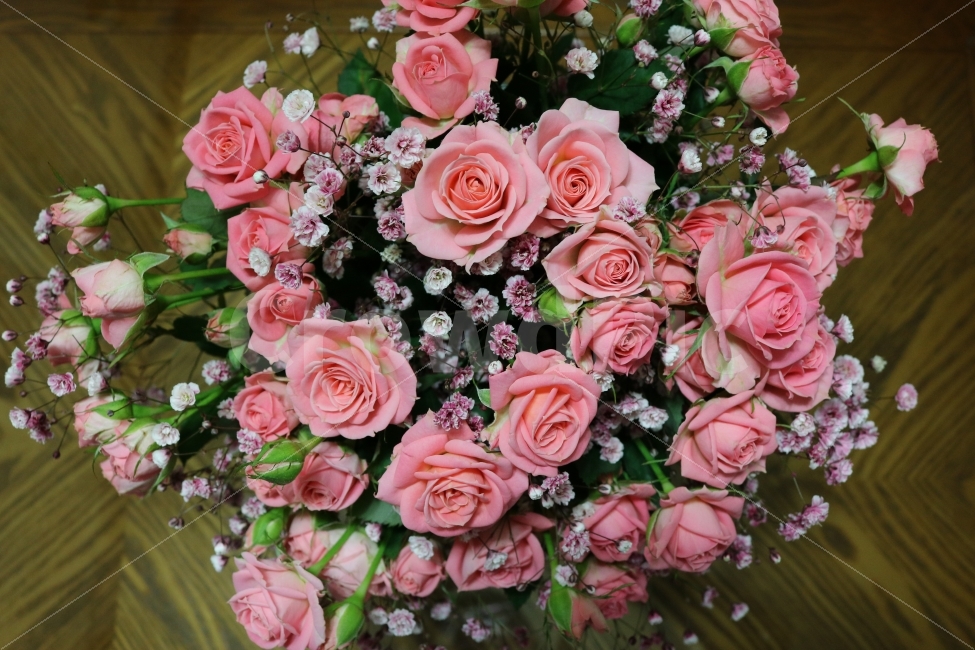 꽃다발,꽃,장미,꽃사진,꽃송이,핑크,봄,감성,분홍색,빈티지,사진,색감,스냅사진,식물,휴식,힐링,감성사진,여름,자연,plants,flower,rose,pink,red,식물,자연,plants,nature,꽃,flower