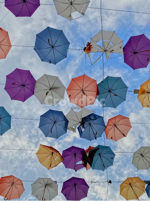 umbrella,cloud,canopy,천개,colorful