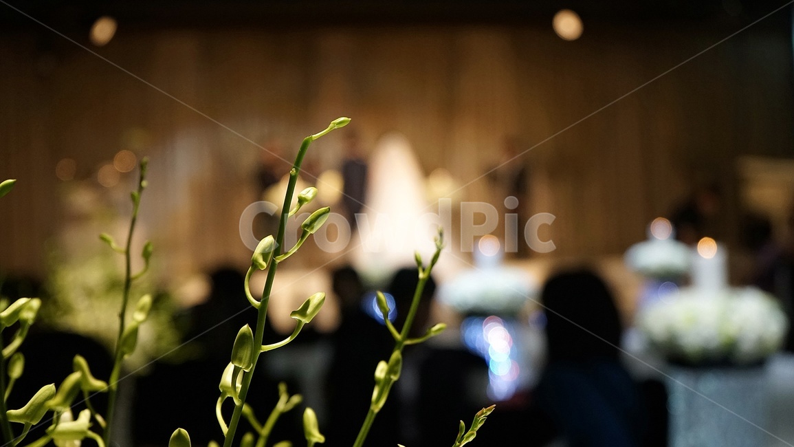 결혼,예식,예식장,행복,커플,장식,wedding,interior,couple,happy,감성사진,결혼,혼례,웨딩,wedding,marriage,marry