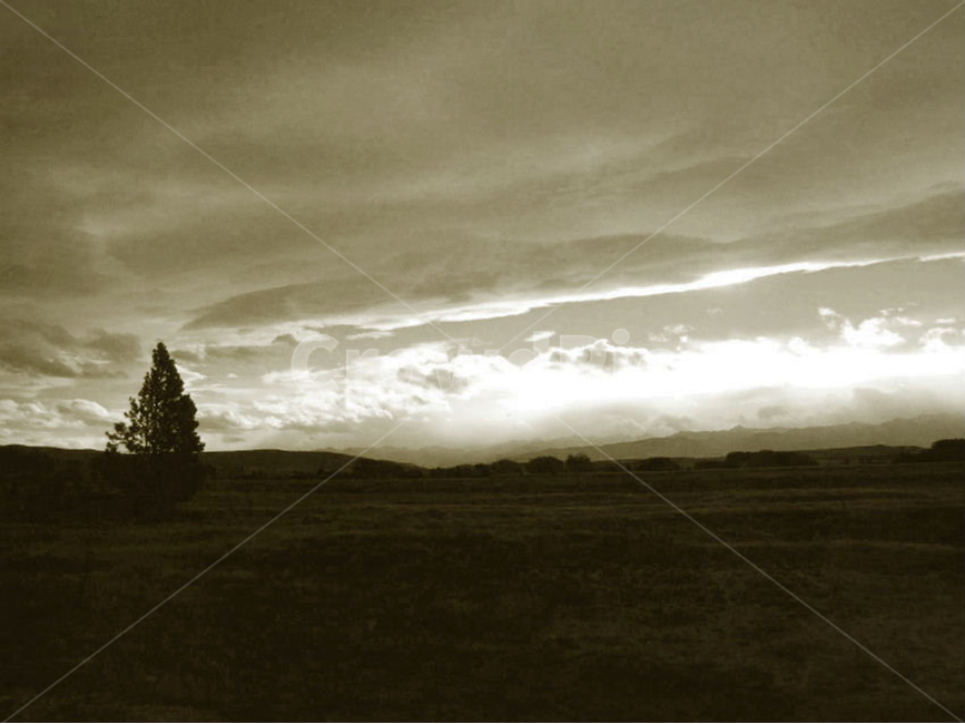 들,들판,지평선,자연,하늘,구름,날씨,field,fields,horizon,sky,cloud,nature,natural,weather,배경사진,배경화면,배경,풍경,풍경사진,평화로운,분위기,차분한,차분함,조용한,조용함,평화로움,scene,view,ambience,atmosphere,calm,peaceful,tranquil,still,background,자연,풍경,nature,landscape,흑백,모노톤,monochrome,black and white,tree,나무,plant,식물