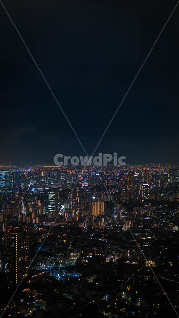 일본,야경,도시,전망대,타워,cityview,도쿄