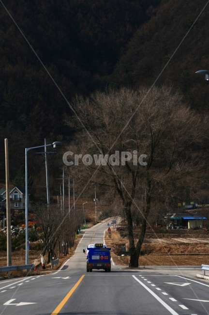 겨울,도로,길,풍경,고향길,나무,가로수,곧은길,그리움,평창,가로등,시골,마을,풍경,landscape,country,rural,town