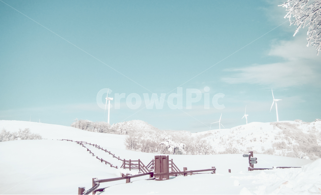 겨울,설경,풍차,풍력발전,삼양목장,한국,겨울,계절,winter,season,자연,풍경,nature,landscape,한국자연풍경,한국자연경관,korea nature landscape,감성,sensible,feeling,색깔,색상,색채,색감,color sense,color sensitivity,feeling of color,outdoors,옥외
