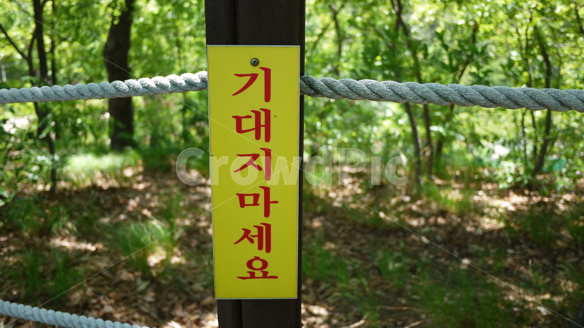 공원,안내문,경고문,기대지마세요,숲,풍경
