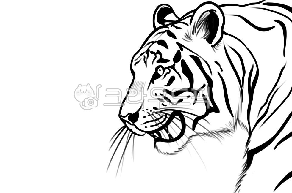 호랑이,호랑이그림,호랑이일러스트,tiger,임인년,2022년,동물,맹수,animal,illustration