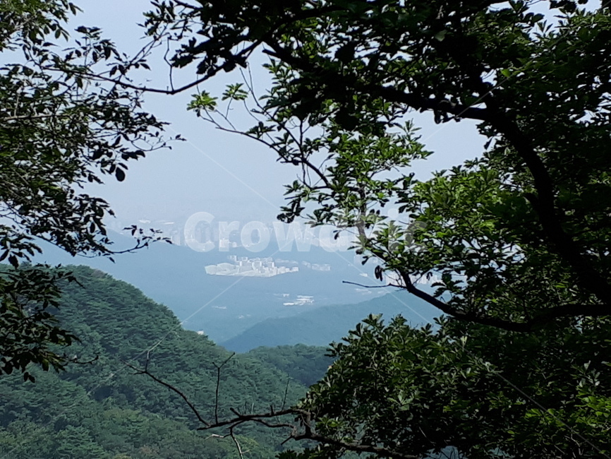 청계산,방송탑,양재,감성사진,경관