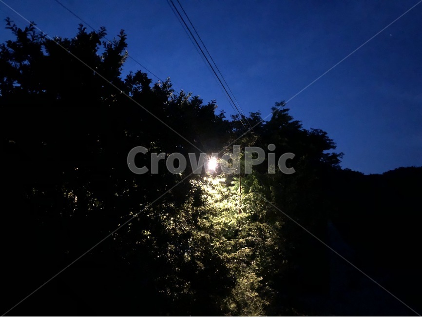 밤,풍경,자연,가로등,감성,감성사진,나무,자연,풍경,nature,landscape,야경,밤,nightscape,night,light,빛,flare,플레어