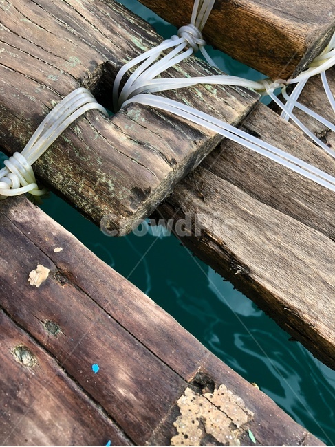 나무,해안가,부두,필리핀,해변,열대지방,적도,tree,wood,beach,sea,blue,green,bluregreen,color,색감,색,푸른색,청록색