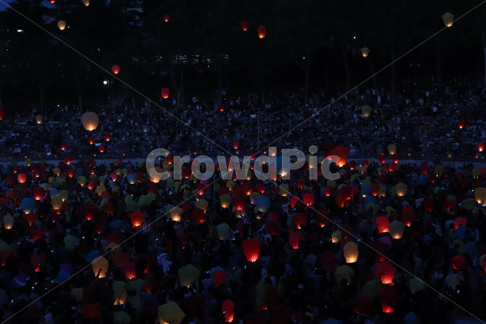 대구,풍등,풍등축제,야경,관등놀이,야경,밤,풍경,nightscape,night,landscape,축제,행사,festival,carnival,event