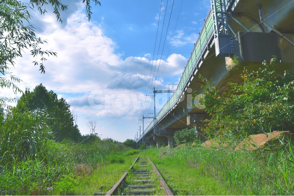 철길,철도,감성사진,여름,구름,여름,계절,summer,season,자연,풍경,nature,landscape,감성,sensible,feeling,교통,교통수단,traffic,transportation,road,도로,train track,기찻길,rail,레일,railway