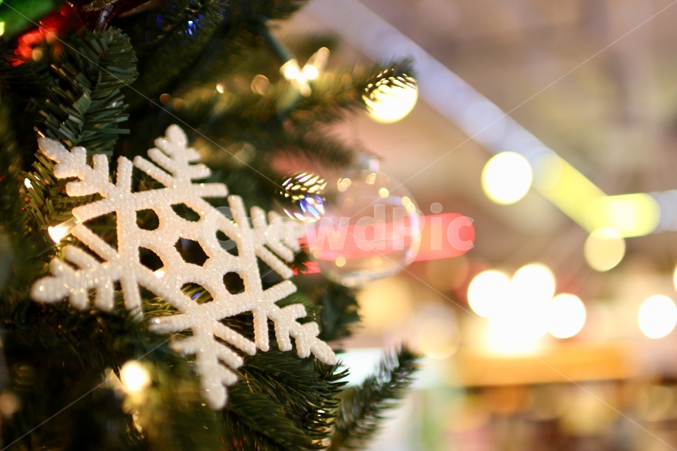 겨울,크리스마스트리,장식품,눈모양,보케,축제,행사,festival,carnival,event,메리크리스마스,성탄절,merry christmas