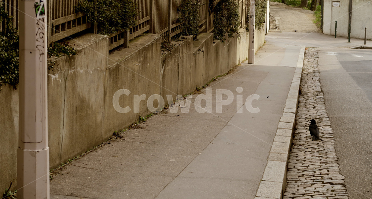 길,street,새,bird,mood,무드,골목길,alley