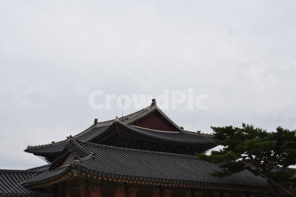 경복궁,궁,처마,하늘,대한민국,한국전통,한국문화,korean traditional,korean culture,랜드마크,landmark,tourist attraction,한국랜드마크,한국관광지,한국명소,korea landmark,korea tourist attraction,건축물,건물외관,exterior,building,structure,architecture,construction