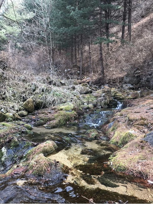 계곡,시냇물,산속,깊은산,계곡물,자연,풍경,nature,landscape,outdoors,옥외,water,물,creek,작은 만,stream,흐름