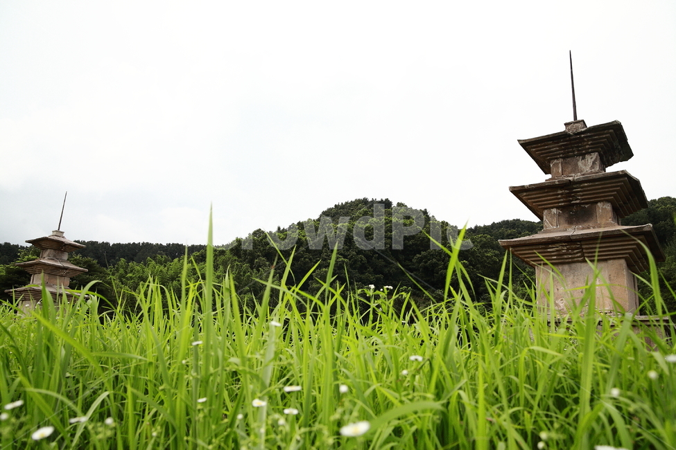 탑,풀,하늘,전통,감은사지,grass,sky,tower,tradition