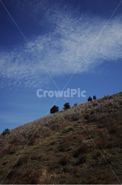 slope,경사,nature,자연,outdoors,옥외,언덕,hill,field,들,grassland,목초지,하늘,구름,sky,cloud,clouds,bluesky,푸른하늘,파란하늘