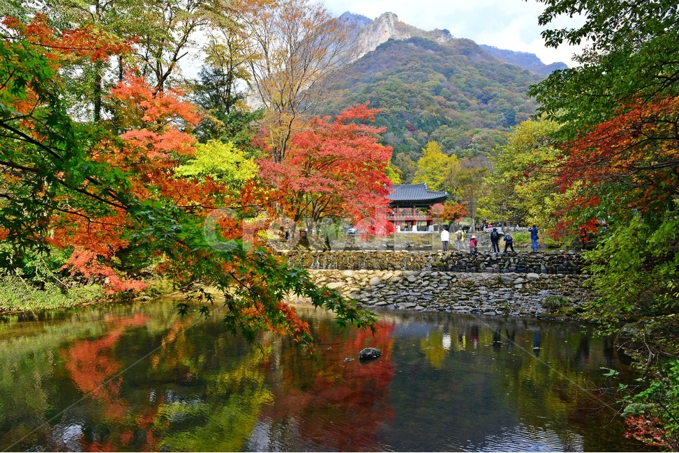 전남,장성,백양사,돌다리,연못,쌍계루,백암산,가을,반영,사람,빨강,녹색,tree,나무,plant,식물,maple,단풍,water,물,가을,계절,fall,autumn,season,nature,자연,outdoors,옥외