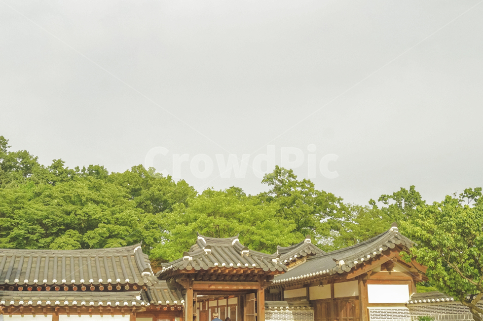한옥,여름,자연,하늘,풍경,koreantraditionalhouse,한국전통,한국문화,korean traditional,korean culture,건축물,건물외관,exterior,building,structure,architecture,construction