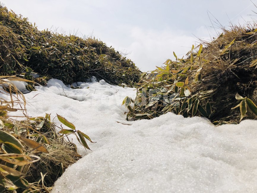 자연,나무,바위,감성,이국적,풀,숲,산,자연,풍경,nature,landscape,animal,동물,bird,새