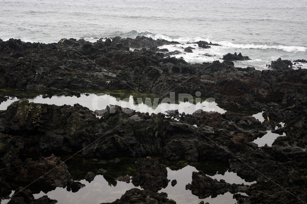 해안,현무암,바위,돌,바다,자연,풍경,nature,landscape,제주도,jeju,jeju island,land,땅,outdoors,옥외,water,물,promontory,곶