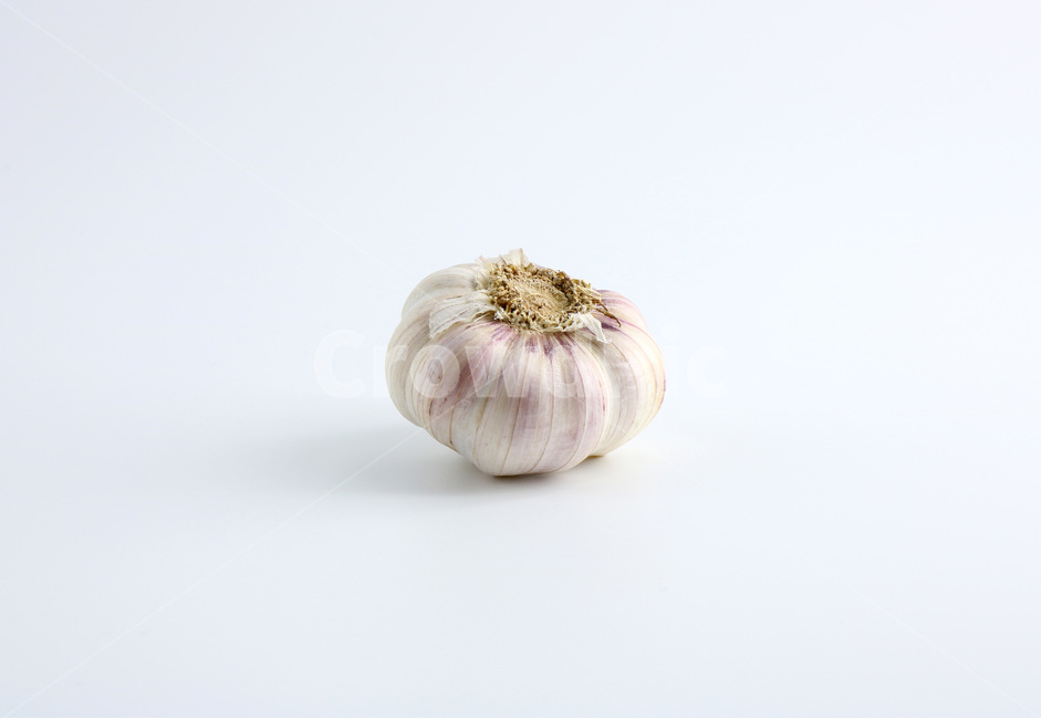사진,누끼,마늘,야채,채소,햇마늘,육쪽마늘,갈릭,통마늘,재료,식자재,garlic,wholegarlic,vegetable,food,음식,식재료,요리,food,cook,meal,dishes,food reserves,채소,야채,vegetables,누끼,remove background