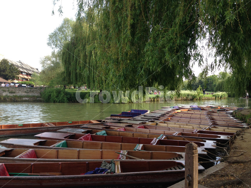 펀팅,배,곤돌라,베네치아,캠브릿지,강,영국,punting,punt,river,vehicle,cambridge,gondola,venice,boat,unitedkingdom,uk