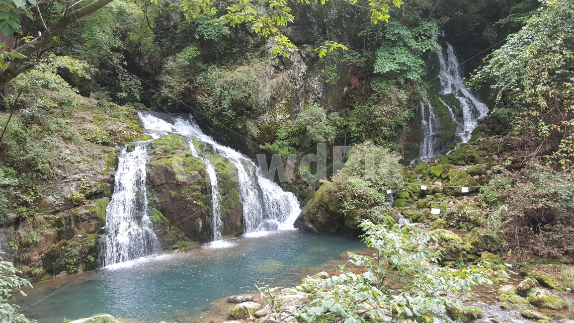 폭포,자연,이끼,여름,물,자연,풍경,nature,landscape