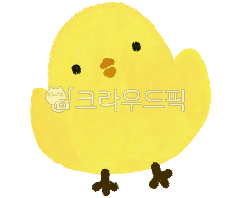 병아리,삐약이,어린이,봄,초보,노랑,갸우뚱