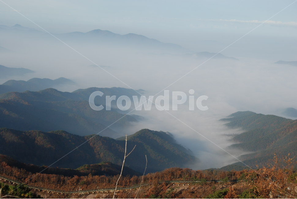 모후산,계절,공원,휴양지,안개,자연,풍경,nature,landscape,한국자연풍경,한국자연경관,korea nature landscape,mountain,산,mountain range,산맥,outdoors,옥외
