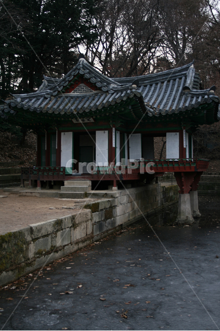 창덕궁,후원,부용정,부용지,세계문화유산,문화유산,한국,한국전통,한국문화,korean traditional,korean culture,랜드마크,landmark,tourist attraction,한국랜드마크,한국관광지,한국명소,korea landmark,korea tourist attraction