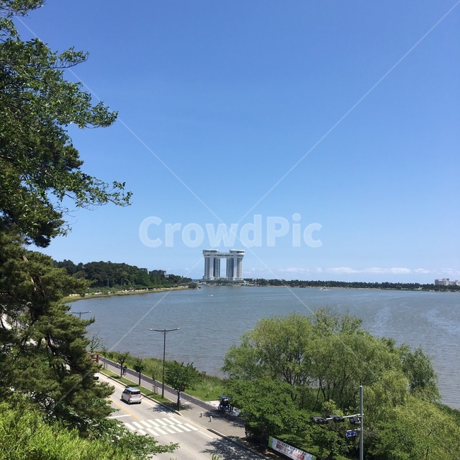 sky,outdoors,옥외,tree,나무,풍경