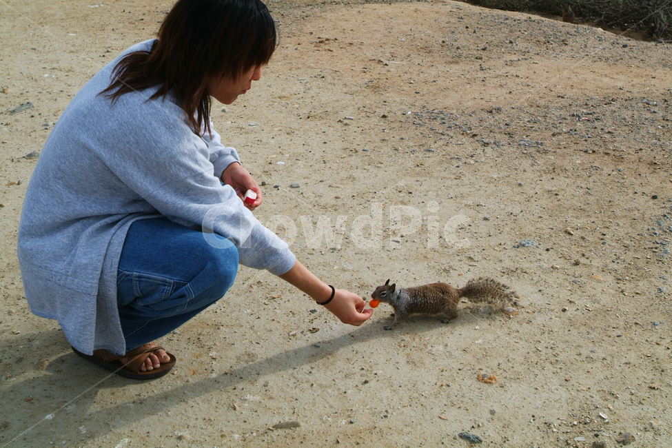 squirrel,다람쥐,땅다람쥐,신기,형,신남,귀여운,동물,아기자기,인간,사람,재미,fun,bro,cute,animals,human,person,ground,동물,animal,포유류,mammal,사람,인물,인간,human,person,남성,남자,man,male