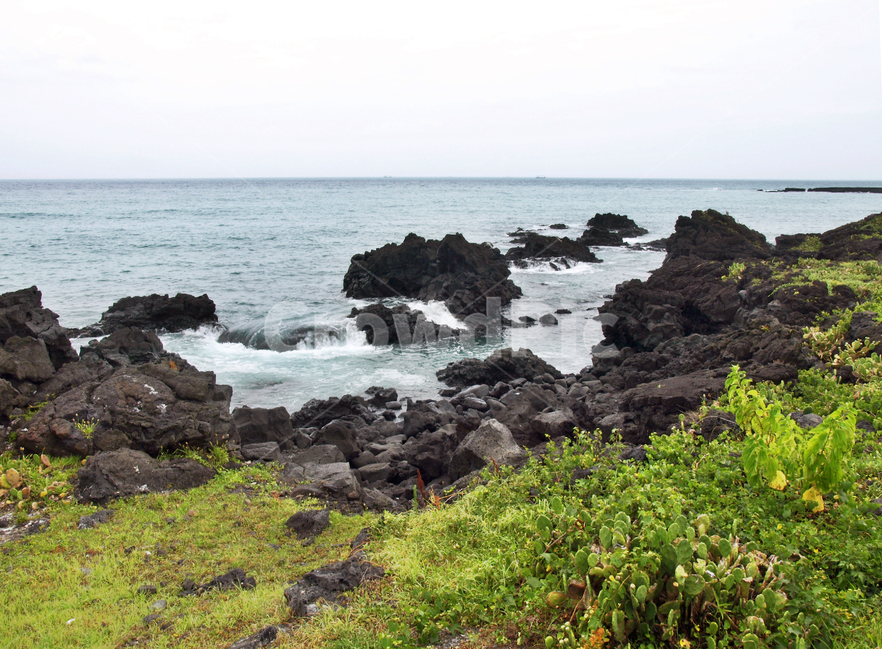 해안길,선인장자생지,제주,올레14코스,올레길,바다,자연,풍경,nature,landscape,제주도,jeju,jeju island,promontory,곶