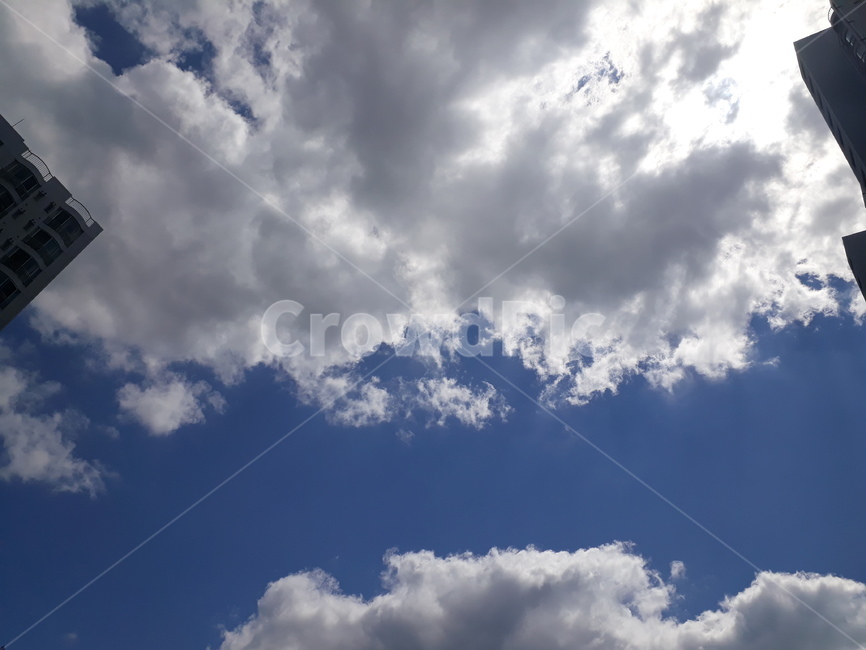 하늘,여름,구름,스카이,아파트,blue,cloud,위,sky,summer,white,몽실몽실