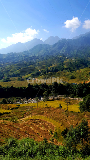 landscape,경치,outdoors,옥외,nature,자연,scenery,풍경,사파,계단식논,판시판,sapa