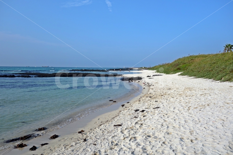 제주도,금능해변,흰모래,하얀모래,백사장,현무암에메랄드빛,바다,푸른,흰,구름,하늘,나무,바위,한적,자연,풍경,nature,landscape,한국자연풍경,한국자연경관,korea nature landscape,해변,바다,beach,sea,제주도,jeju,jeju island,water,물,shoreline,해안선,outdoors,옥외,ocean,대양