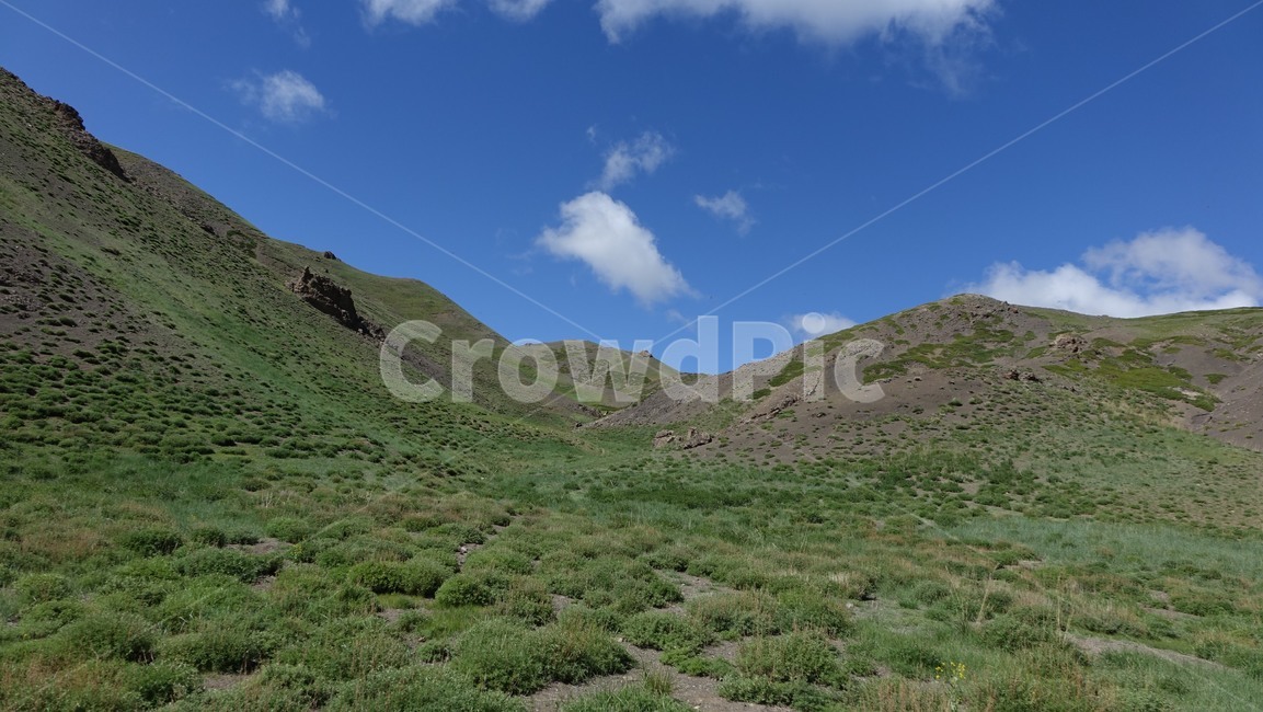 nature,자연,outdoors,옥외,hill,언덕,green,초록,하늘,초원,몽골