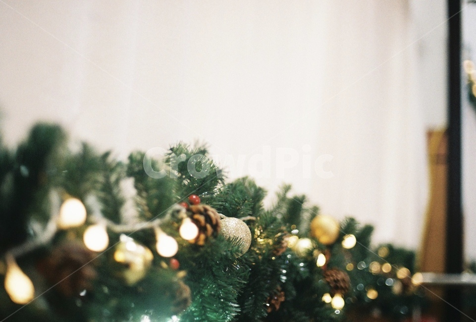 크리스마스,전구,나무,솔잎,장식,소품,벽,축제,행사,festival,carnival,event,메리크리스마스,성탄절,merry christmas,감성,sensible,feeling