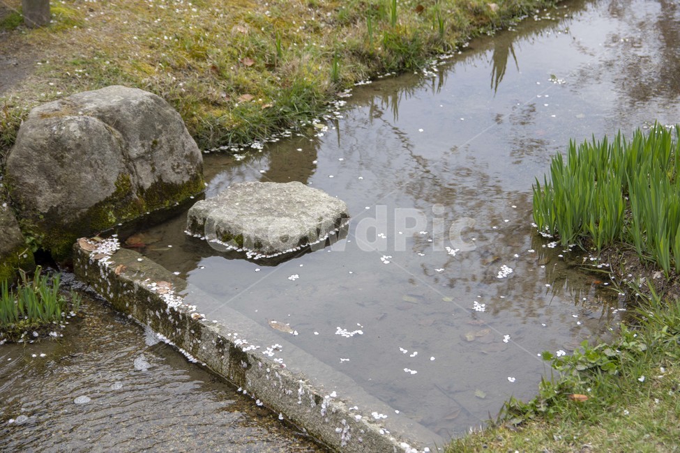 flagstone,판석,ditch,도랑,쇼세이엔,nature,자연,scenery,풍경