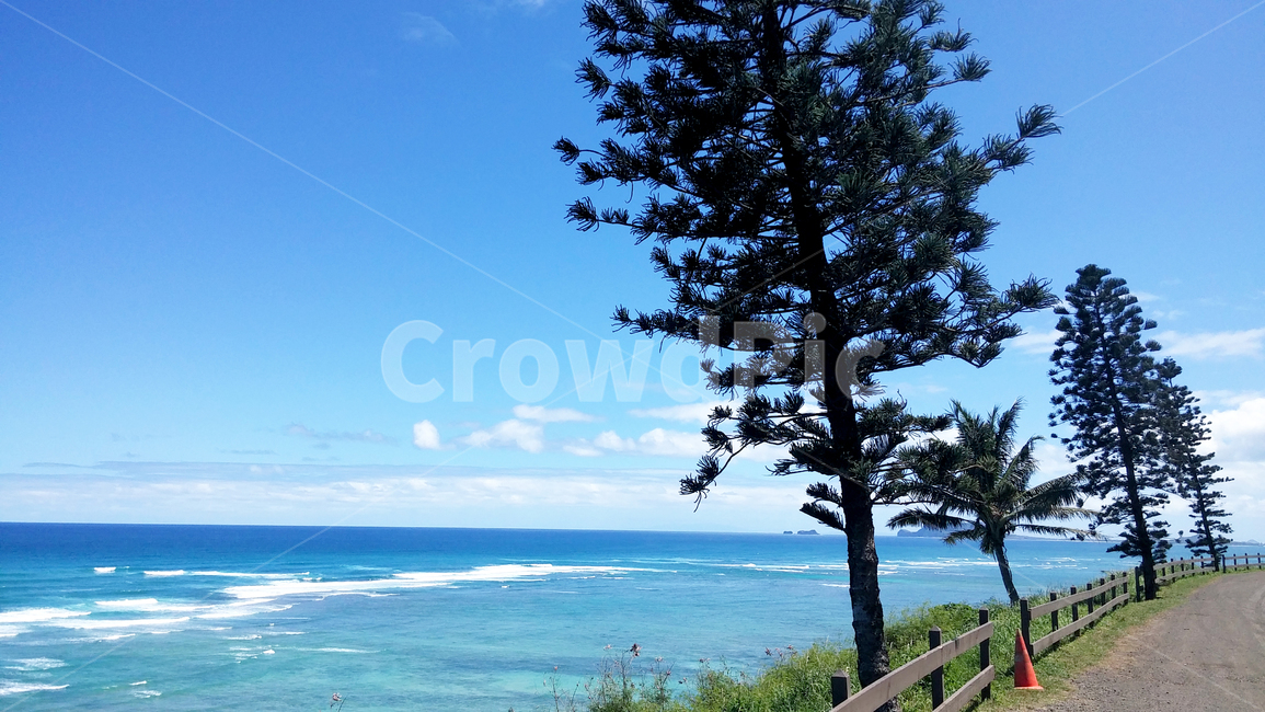 tree,plant,식물,여름,summer,바다,풍경,바닷가,파도,자연,nature,sea,해안선,물,옥외,beach,나무,해외,휴식,휴가