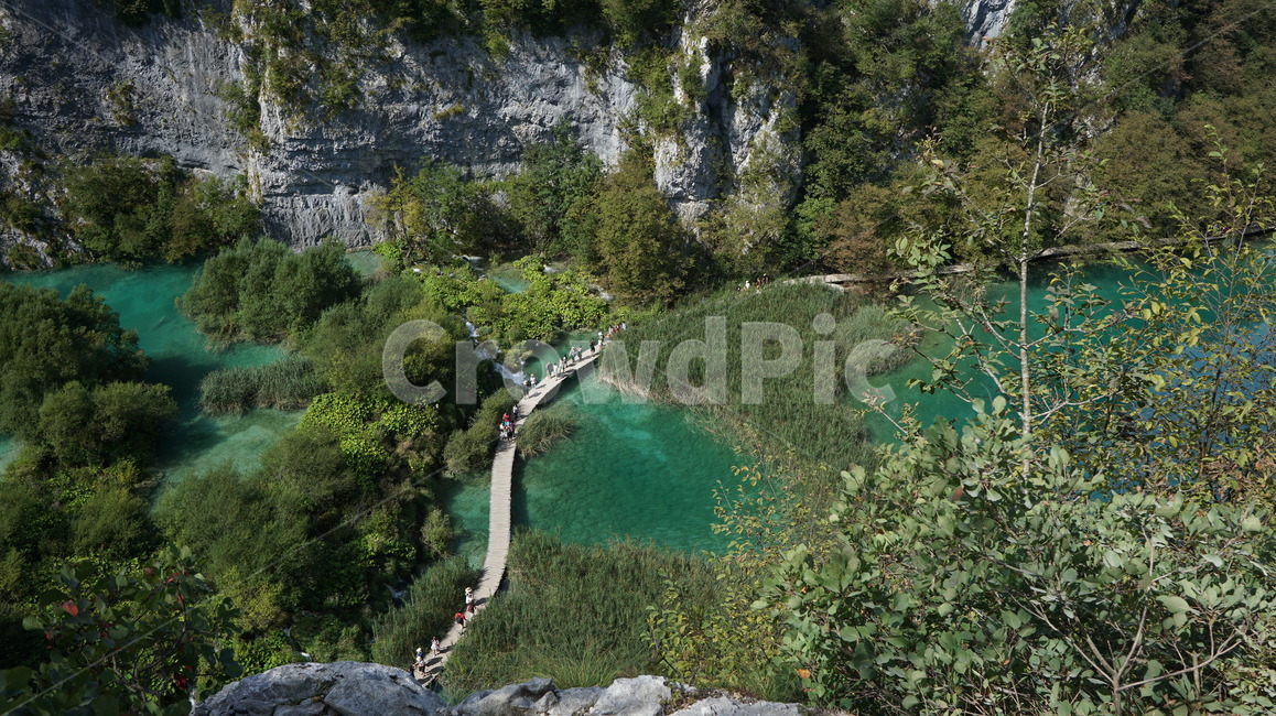 플리트비체,크로아티아,plitvicelakes,croatia,자연,동유럽,europe,landscape,world,foreign,해외,외국,세계,oversea,풍경,자연,풍경,nature,landscape,해외,외국,세계,foreign,oversea,world,세계자연풍경,해외자연풍경,외국자연풍경,world nature landscape,tree,나무,plant,식물,outdoors,옥외,abies,아비,fir,전나무