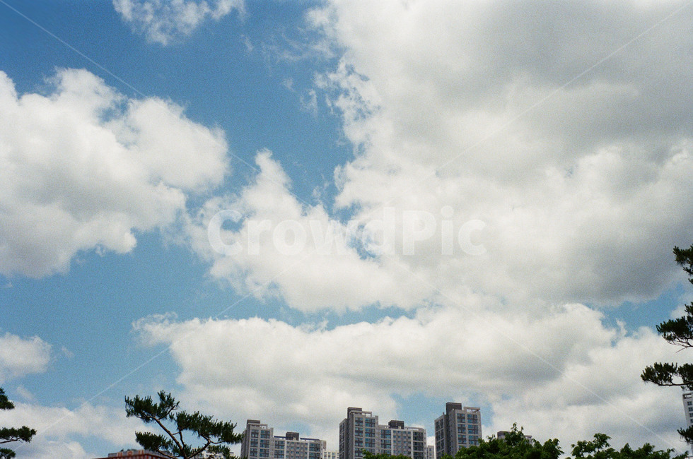outdoors,바깥,하늘,sky,nature,자연,도시,풍경,city,landscape,옥외