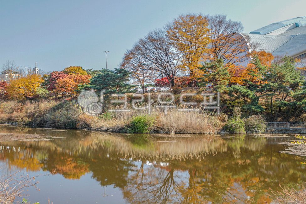 Olympic Park,theme park,Move room,city,nature,water,seoul,outdoors,maple,Songpagu,park,Maple