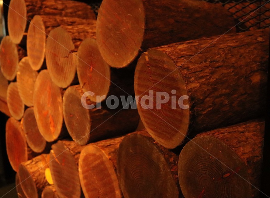 장작,땔감,나무장작,난로,통나무,나무,trees,wood