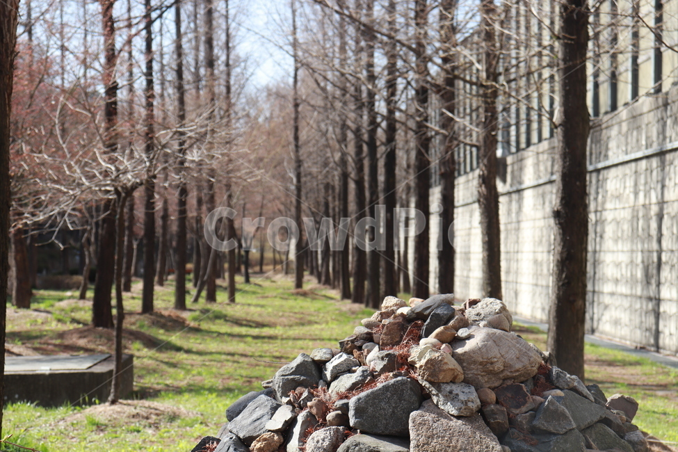 자연,나무,산책로,돌,풍경,자연,풍경,nature,landscape,rubble,파편