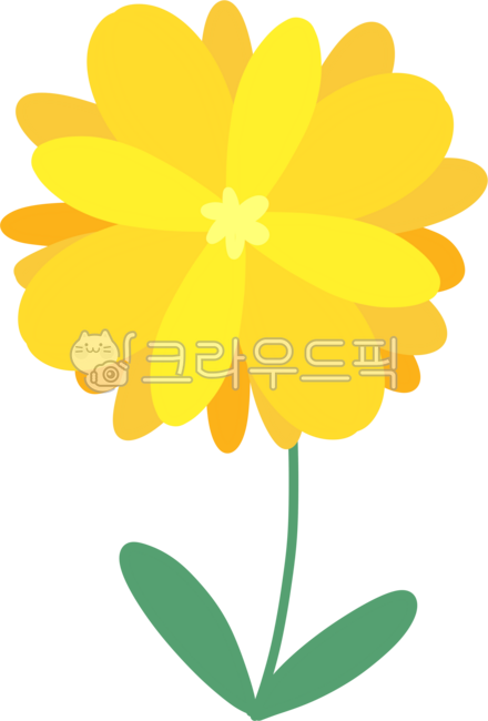 꽃,노란꽃,노란색,식물,들꽃,옐로우