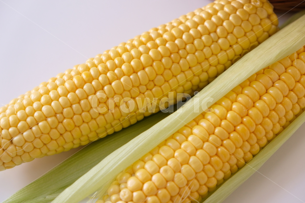 옥수수,초당,콘,노란옥수수,신선,식품,음식,초당옥수수,corn,yellow,fresh,food,음식,식재료,요리,food,cook,meal,dishes,food reserves,곡류,곡식,cereals